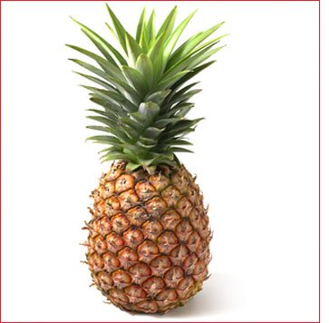 Ananas.jpg