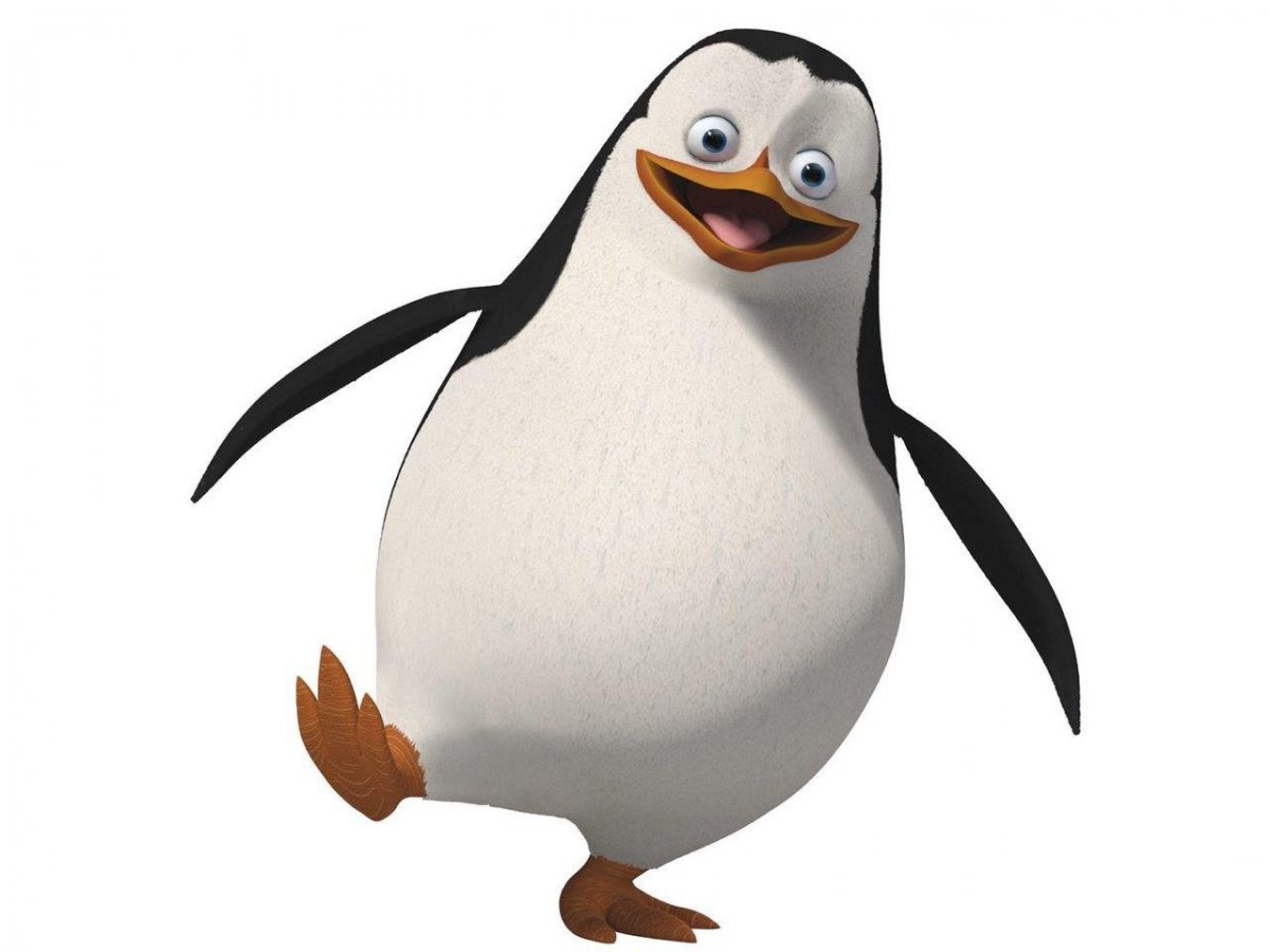 Private-Wallpaper-penguins-of-madagascar-7408353-1280-960.jpg