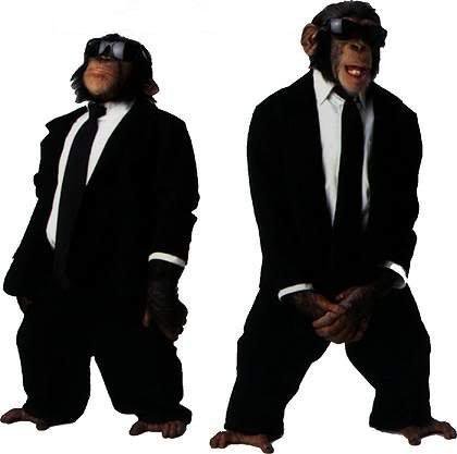 animal-monkey-men-in-black.jpg