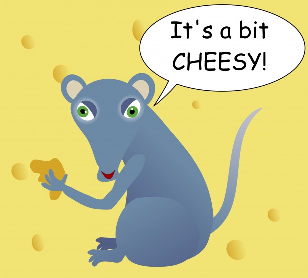 cheesy-mouse-clipart.jpg