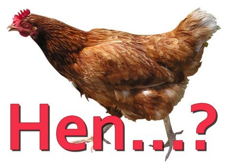 hen-1348520380.jpg