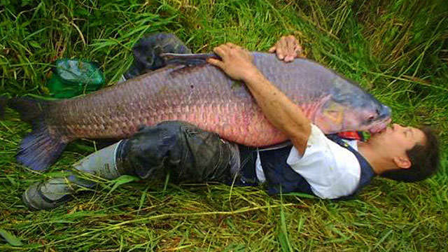 man-hugging-fish-1.jpg